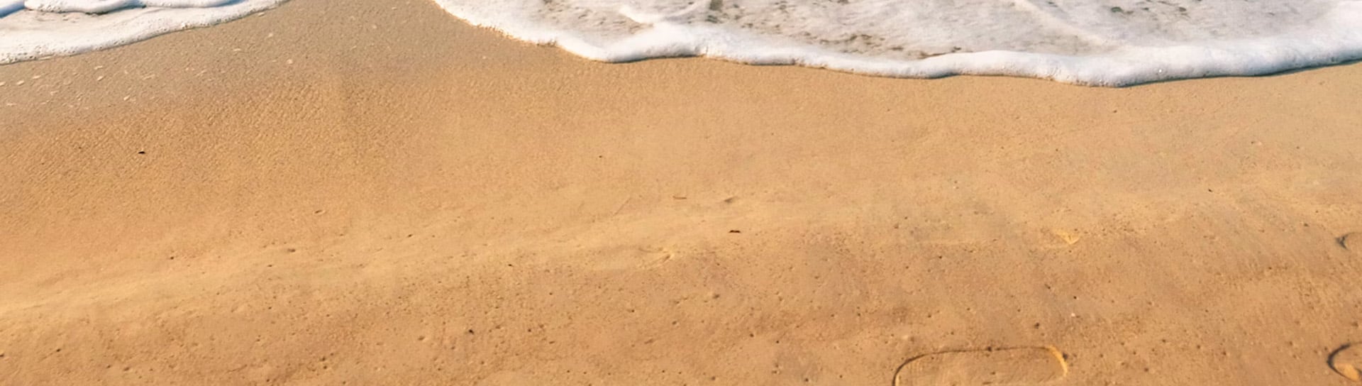 Branded swimwear & beachwear